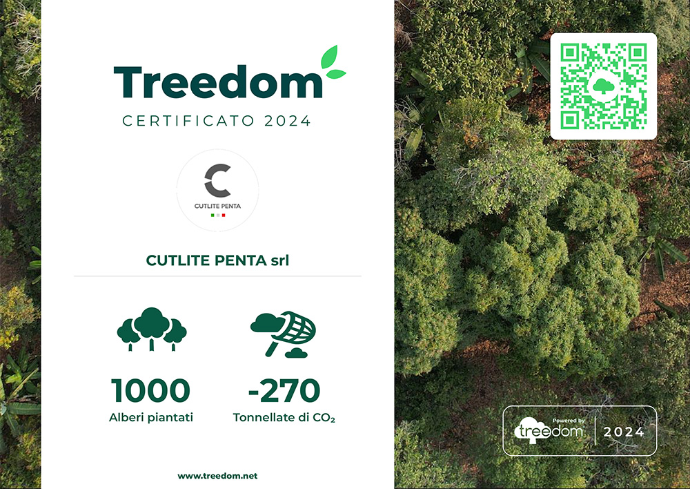 Le certificat Treedom 2024 de la Cutlite Penta Forest : 1000 arbres plantés