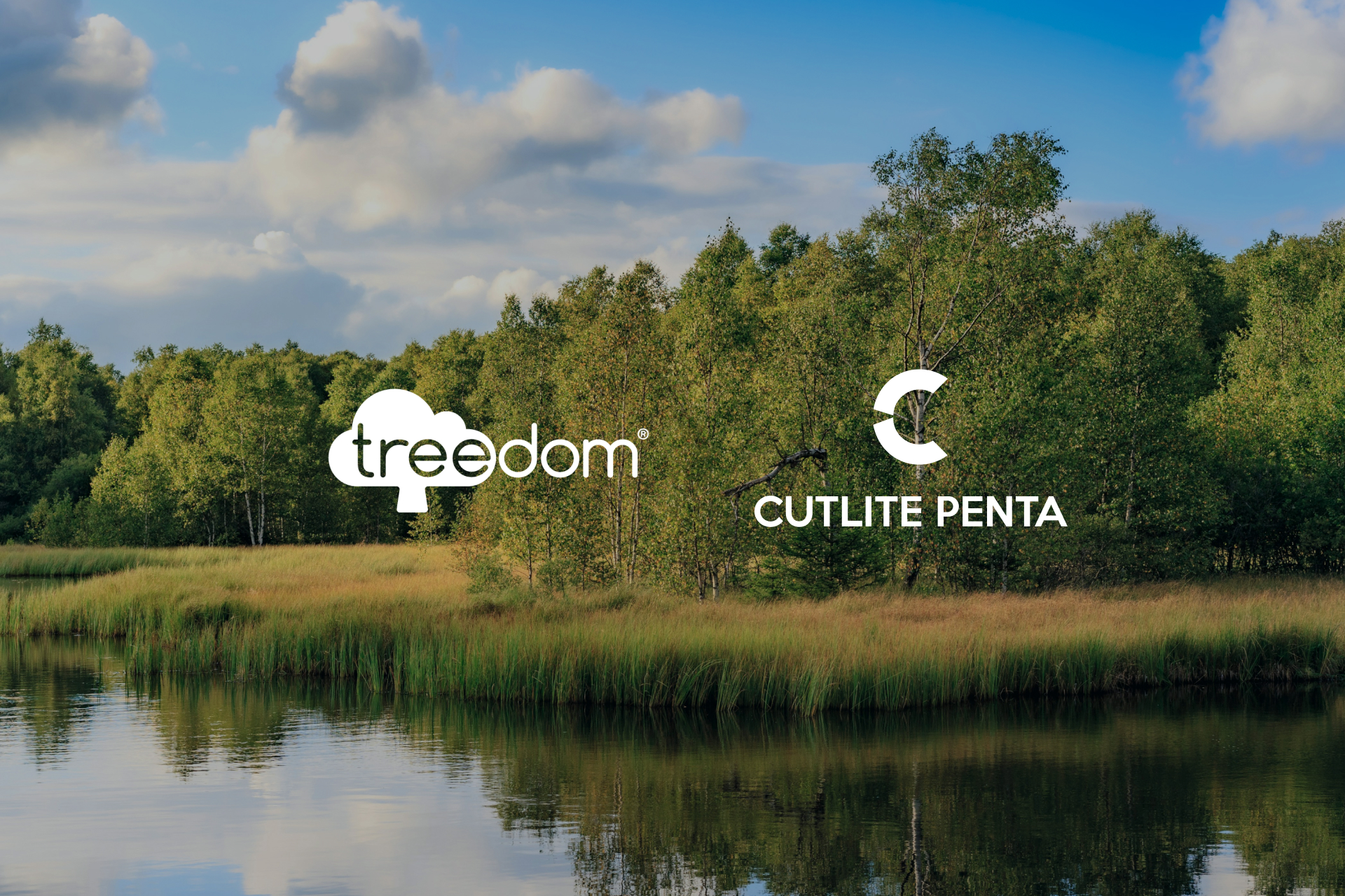 Les logos Treedom et Cutlite Penta sur un paysage de forêt : la Cutlite Penta Forest